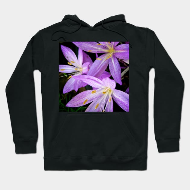 Saffron Crocus Flowers Photography Hoodie by Heatherian